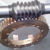 Rolling Mill Machine Spare Parts Stainless Steel Worm and Worm Gears